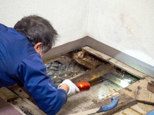 Water Damage Restoration in Joanna, SC